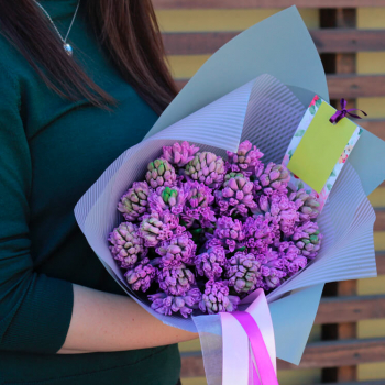 25 фиолетовых гиацинт в букете 25 фиолетовых гиацинт в букете
