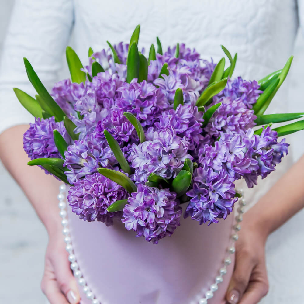 19 фиолетовых гиацинт в коробке