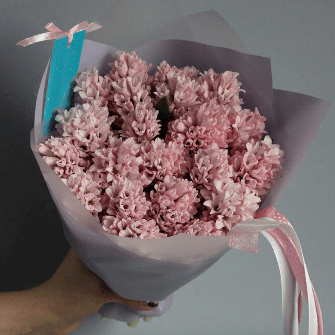 25 кремовых гиацинт в букете