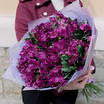 19 фиолетовых альстромерий