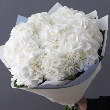 9 белых гортензий в букете