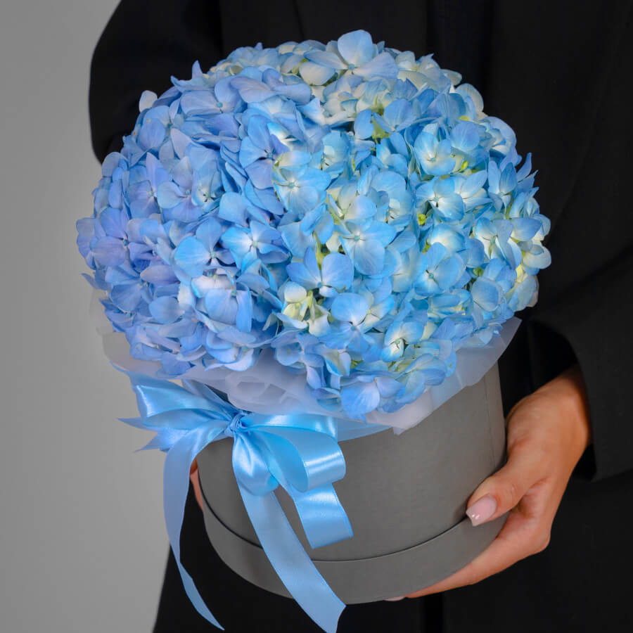 Голубые гортензии в коробке