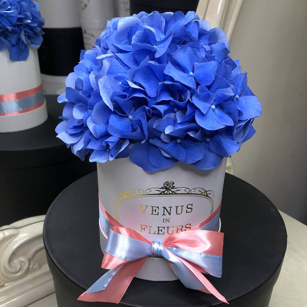 Синяя гортензия в коробке
