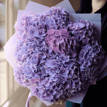 9 фиолетовых гортензий в букете 9 фиолетовых гортензий в букете