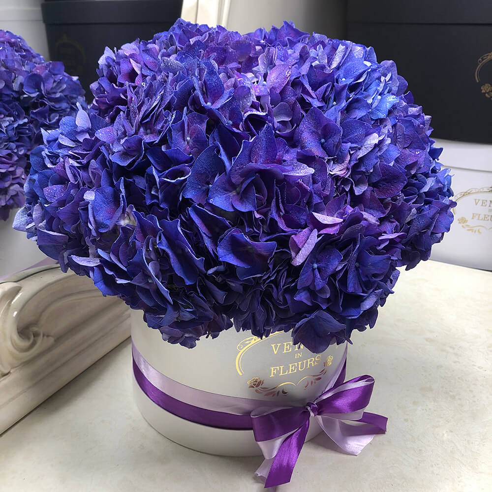 9 фиолетовых гортензий в коробке