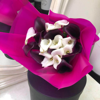 19 бело-бордовых калл в букете