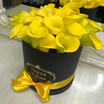 25 желтых калл в коробке