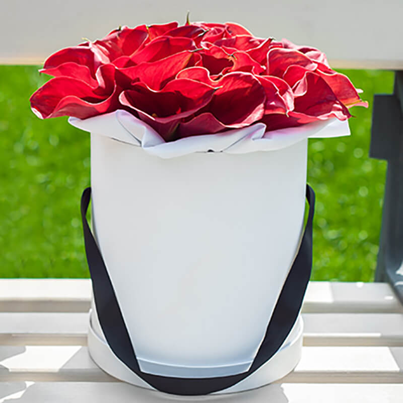 25 красных калл в коробке