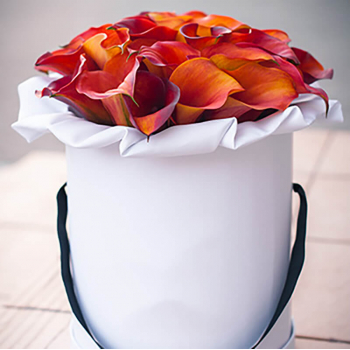 25 оранжевых калл в коробке