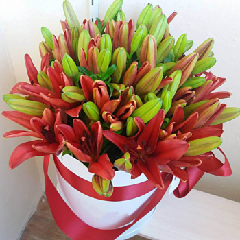 19 красных лилий в коробке 19 красных лилий в коробке