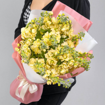 15 желтых маттиол в букете