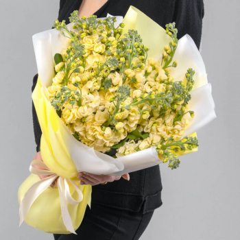 19 желтых маттиол в букете