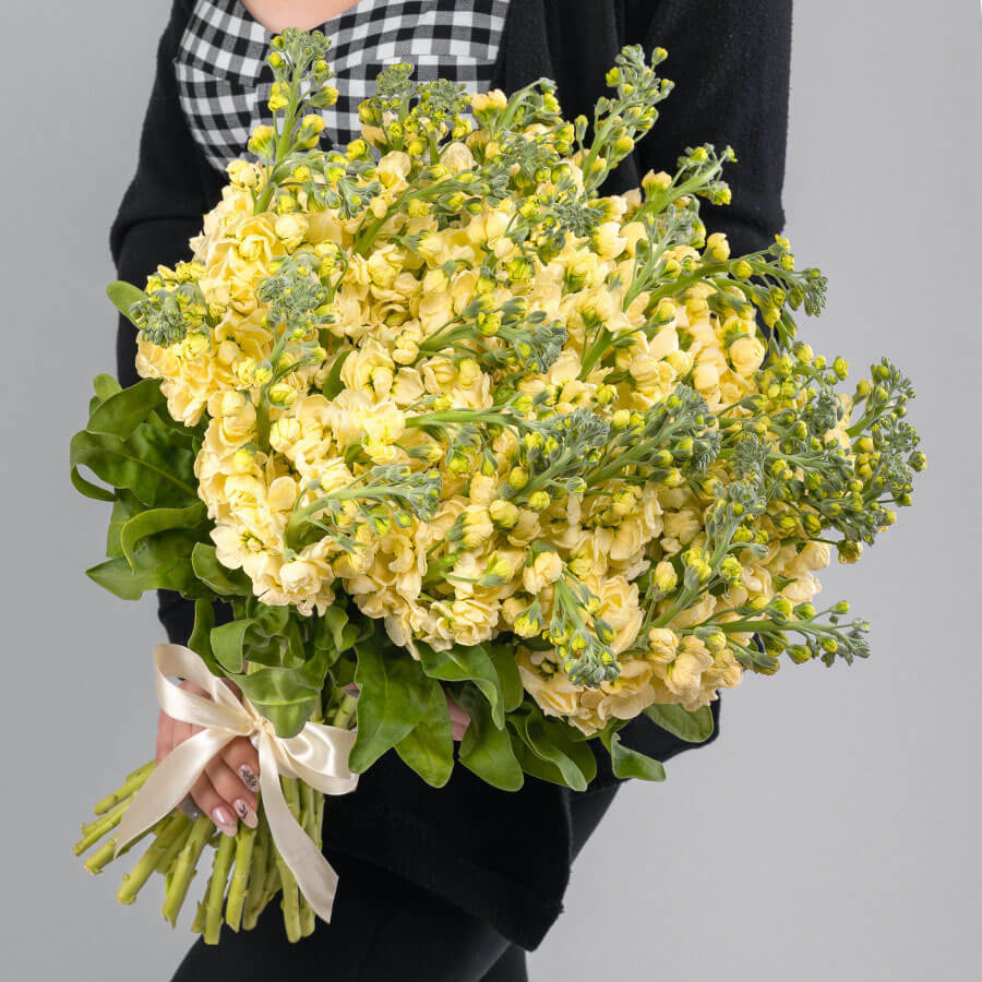 41 желтая маттиола в букете