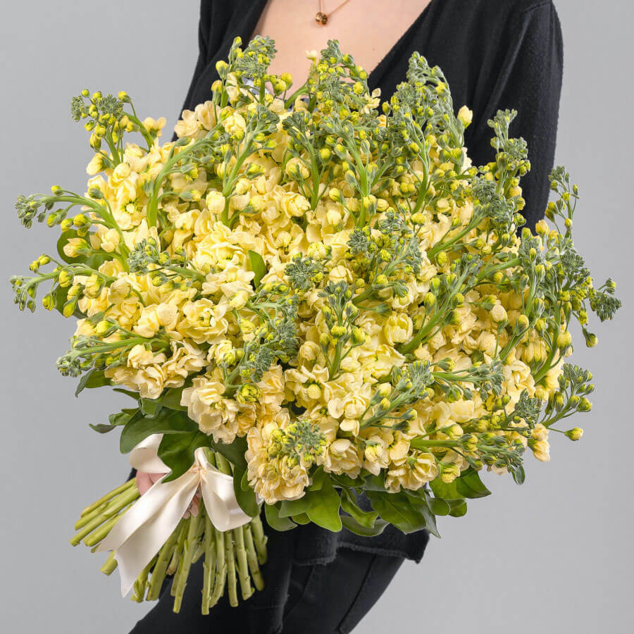 51 желтая маттиола в букете