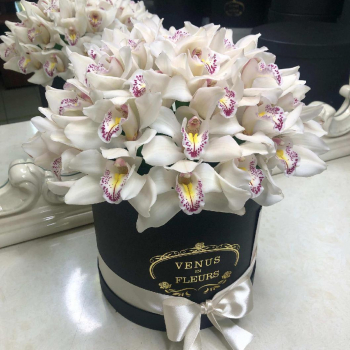 29 белых орхидей в коробке