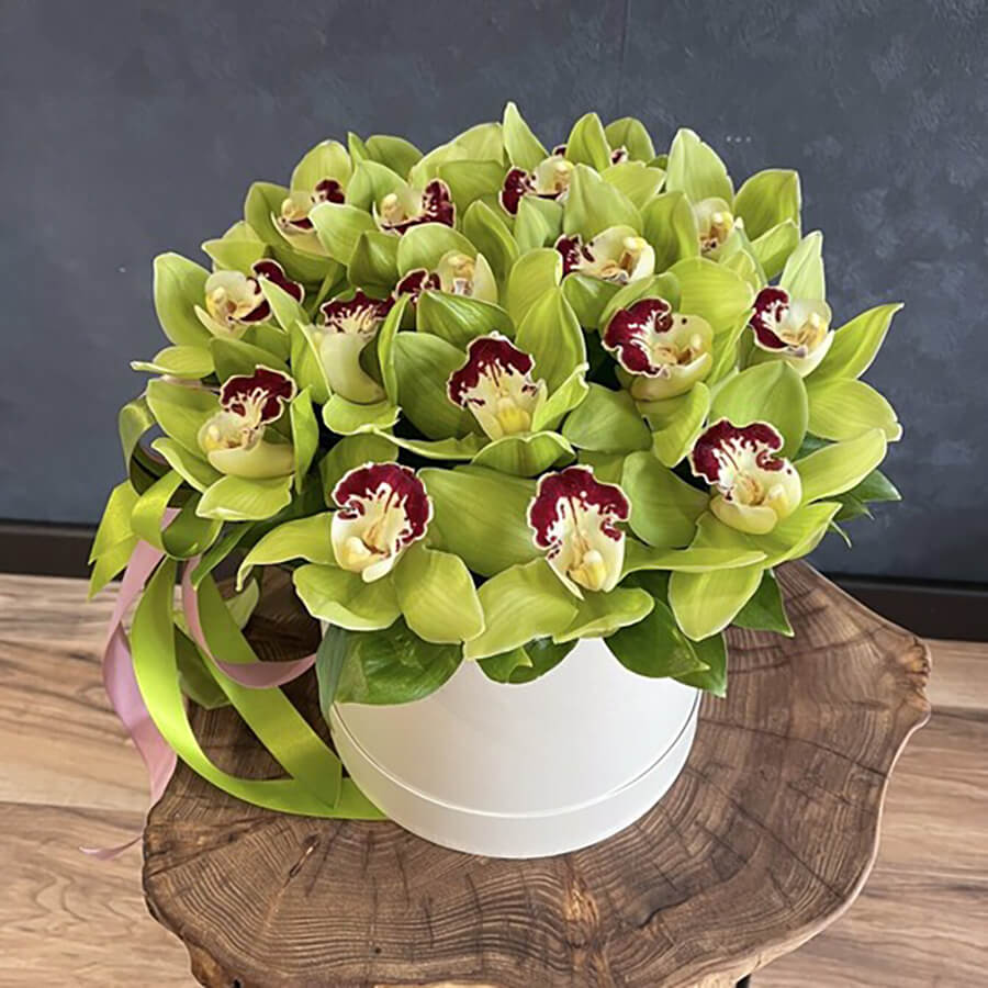 13 зеленых орхидей в коробке