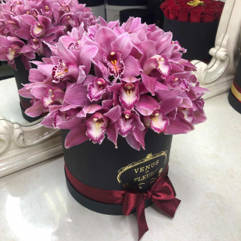 29 розовых орхидей в коробке