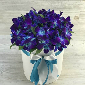 29 синих орхидей в коробке