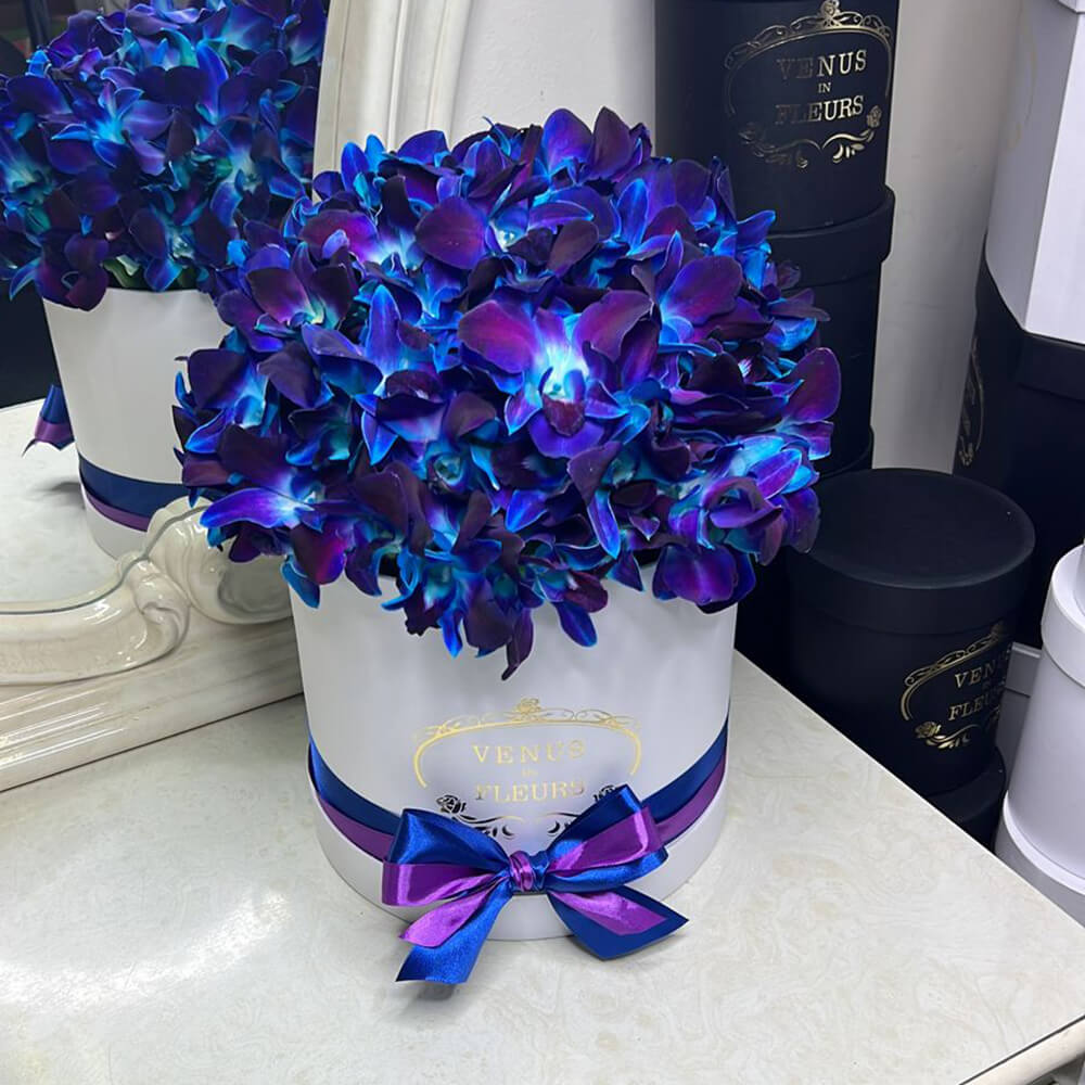 51 синяя орхидея в коробке