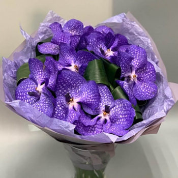 9 фиолетовых орхидей в букете