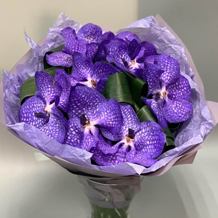 9 фиолетовых орхидей в букете
