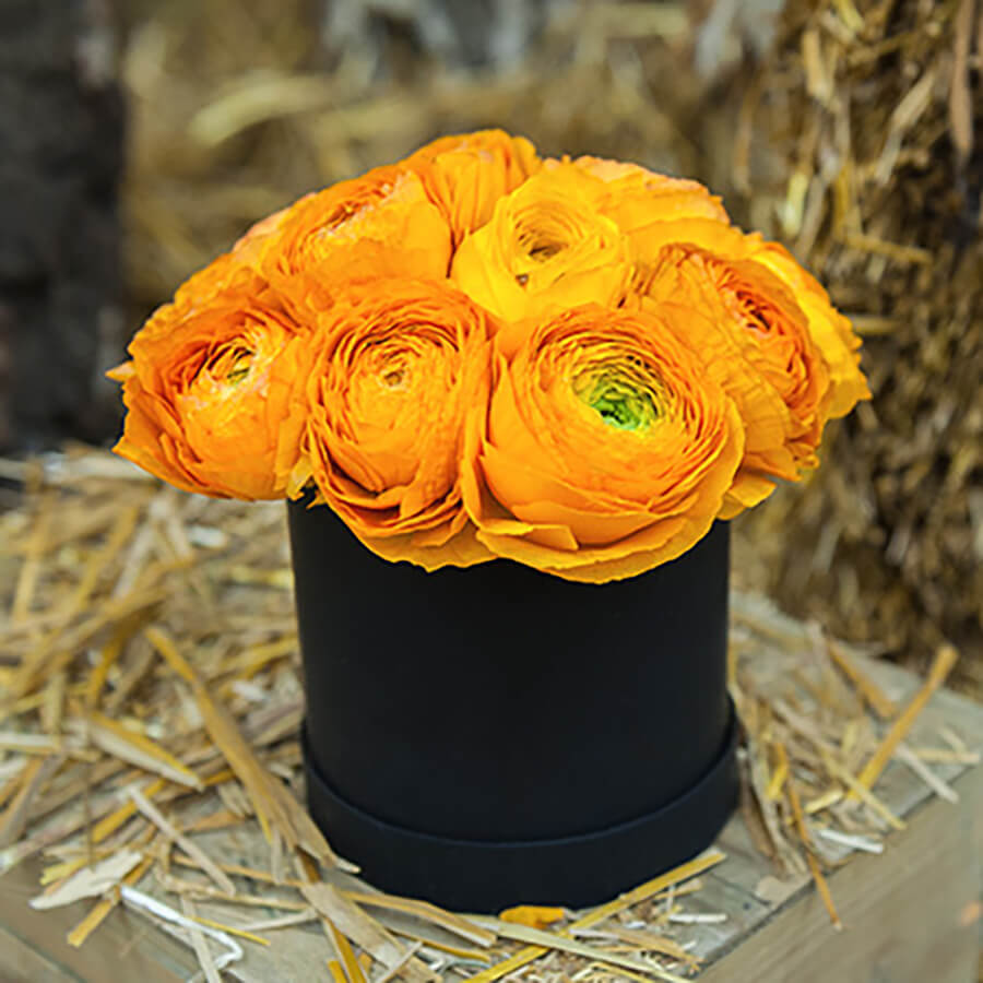 9 желтых ранункулюсов в коробке