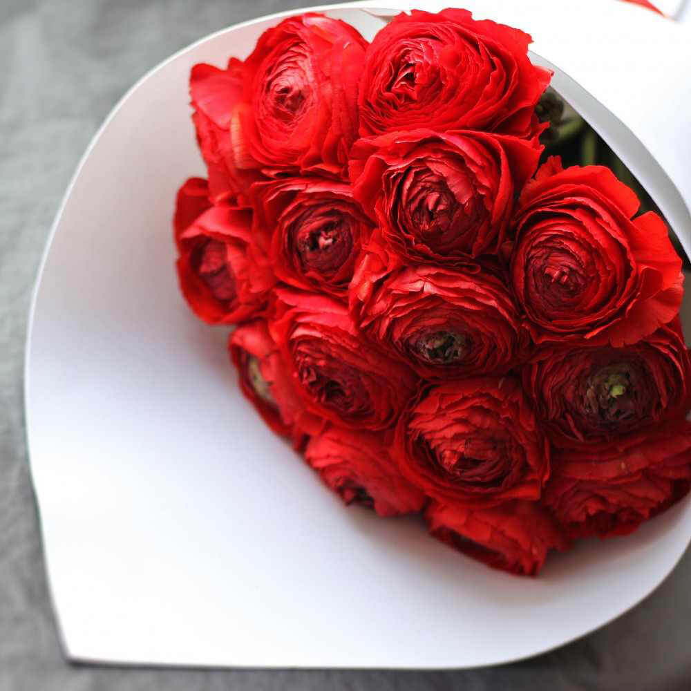 19 красных ранункулюсов в букете