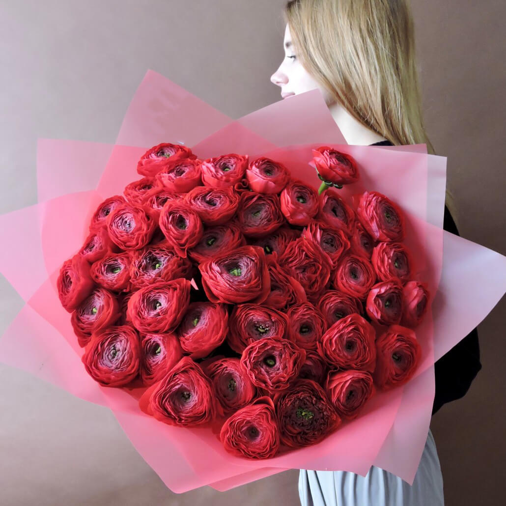 51 красный ранункулюс