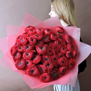 51 красный ранункулюс 51 красный ранункулюс