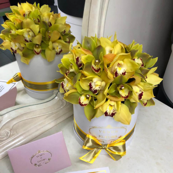 Микс из орхидей в коробке от 25 шт.