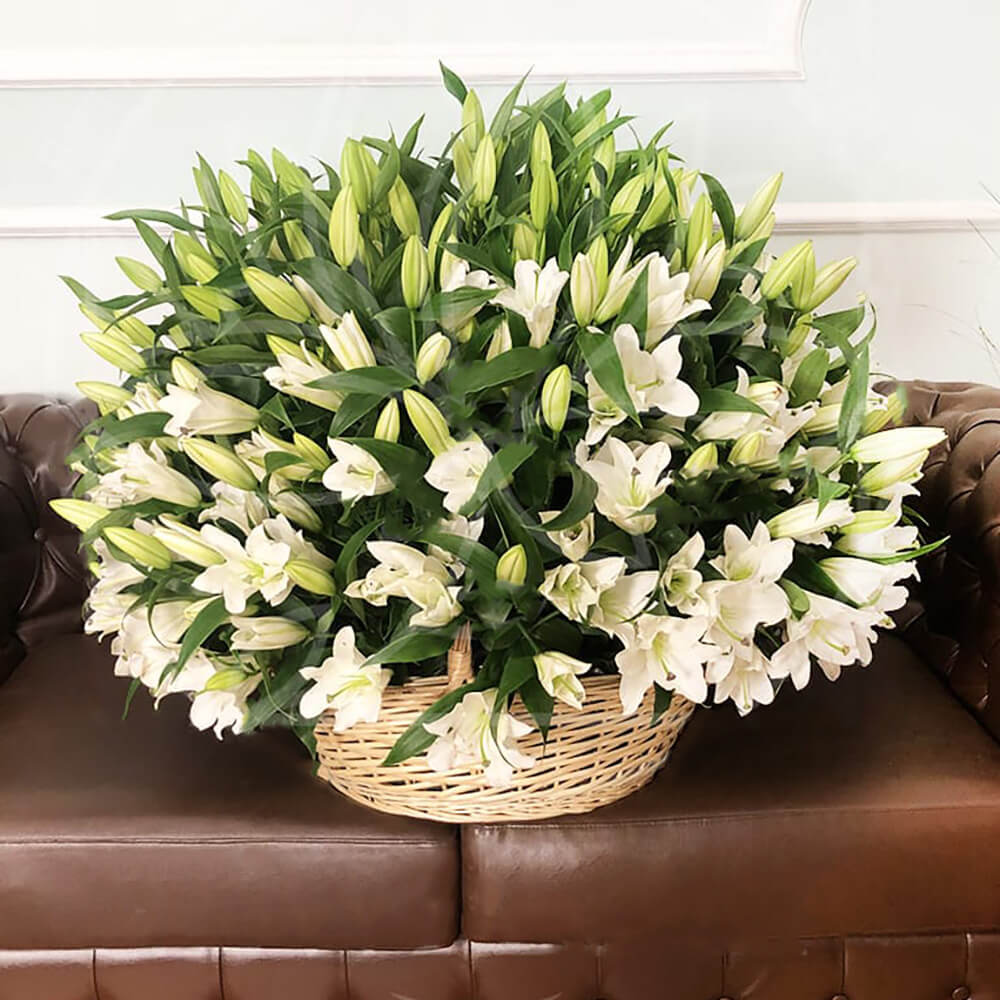 101 белая лилия в корзине