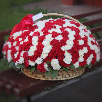 401 красно-белая гвоздика в корзине