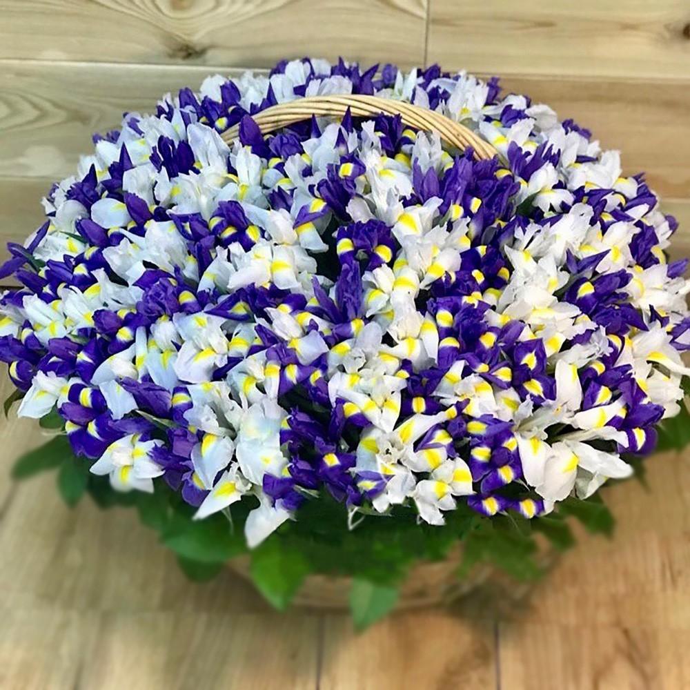Микс из 201 ириса в корзине