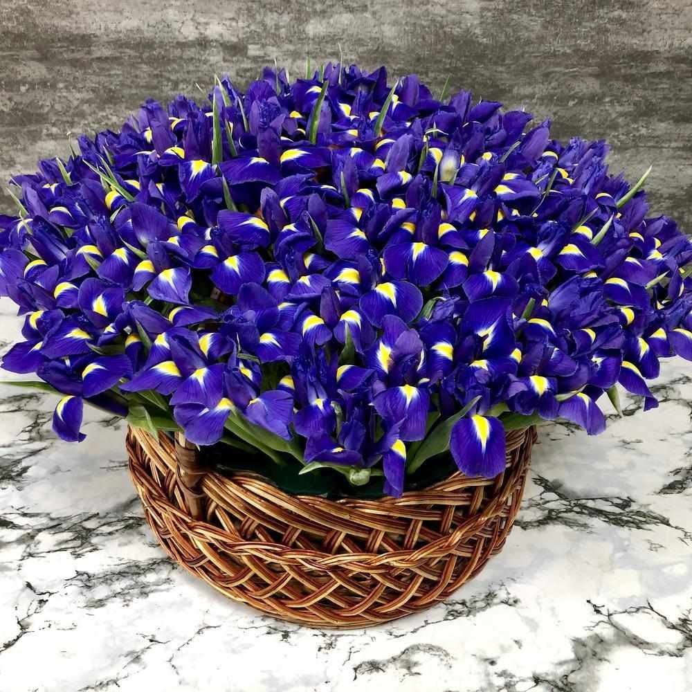 151 ирис в корзине