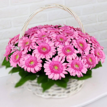 Розовые герберы в корзине - 41 шт.