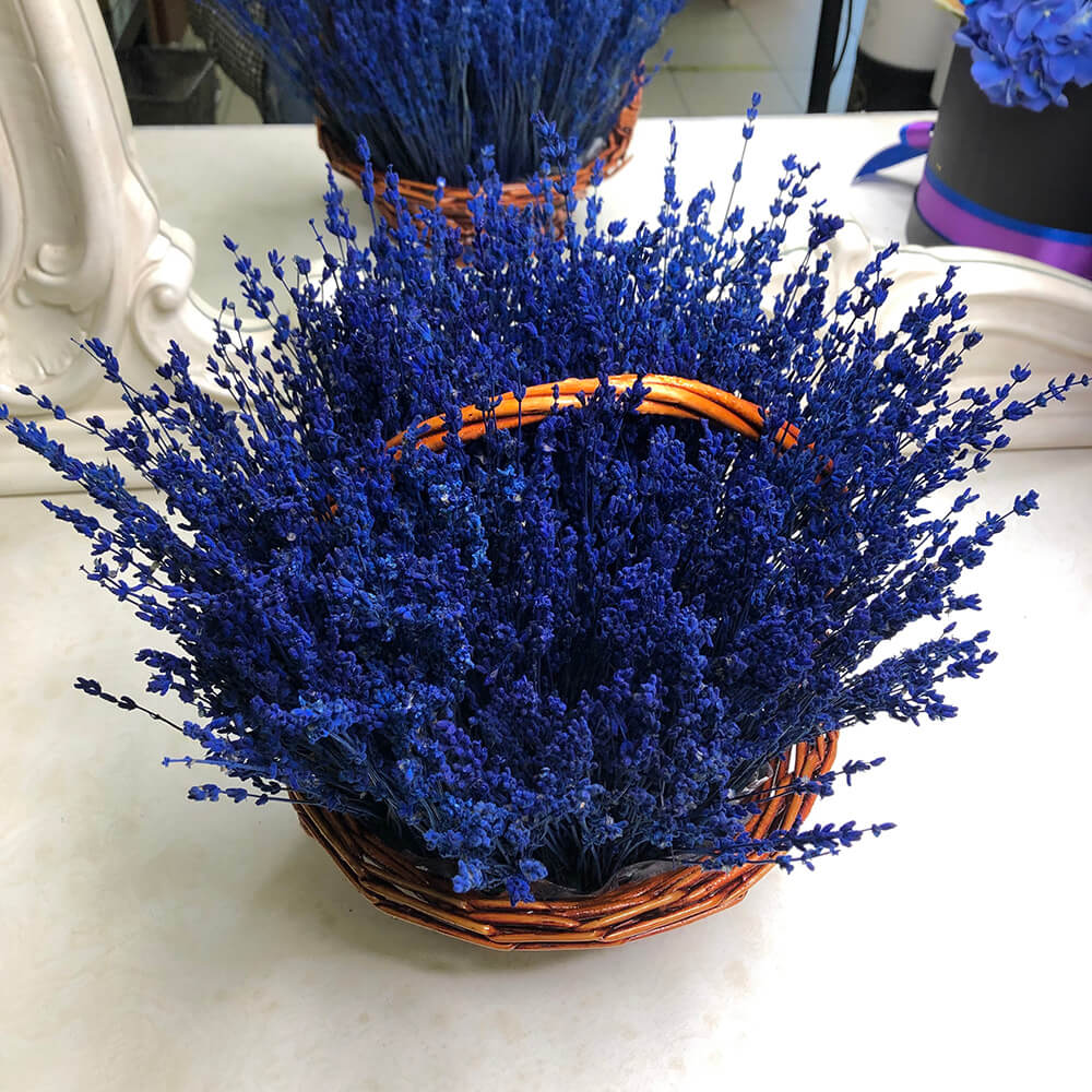 301 синяя лаванда в корзине