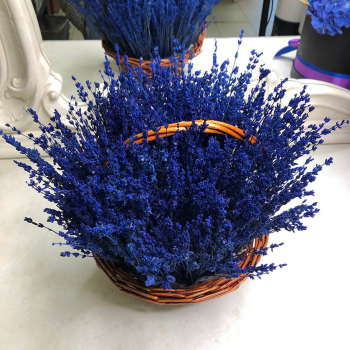 301 синяя лаванда в корзине
