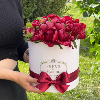 Бордовые пионы в коробке от 9 шт.