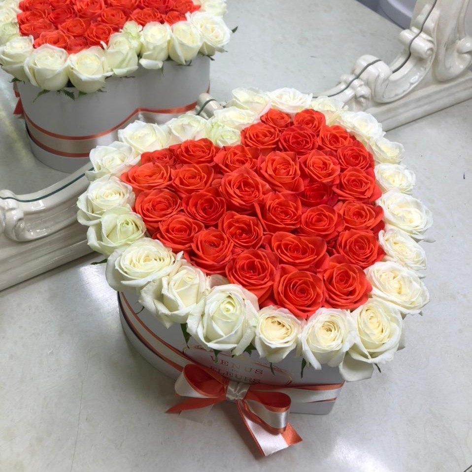 45 коралловых роз с белой окантовкой