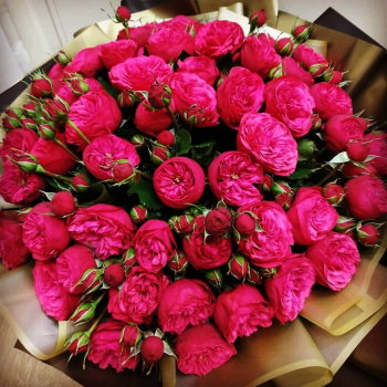 41 красная пионовидная роза в букете