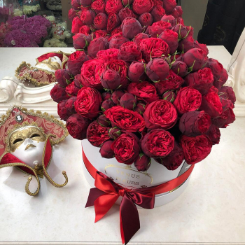 41 красная пионовидная роза в коробке