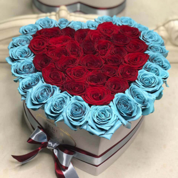41 красная роза с голубой окантовкой