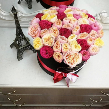 41 пионовидная роза в коробке 41 пионовидная роза в коробке