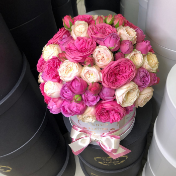 41 пионовидная роза микс в коробке