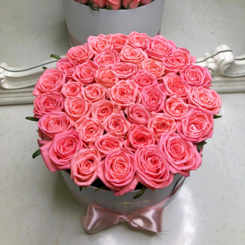 41 розовая роза в коробке