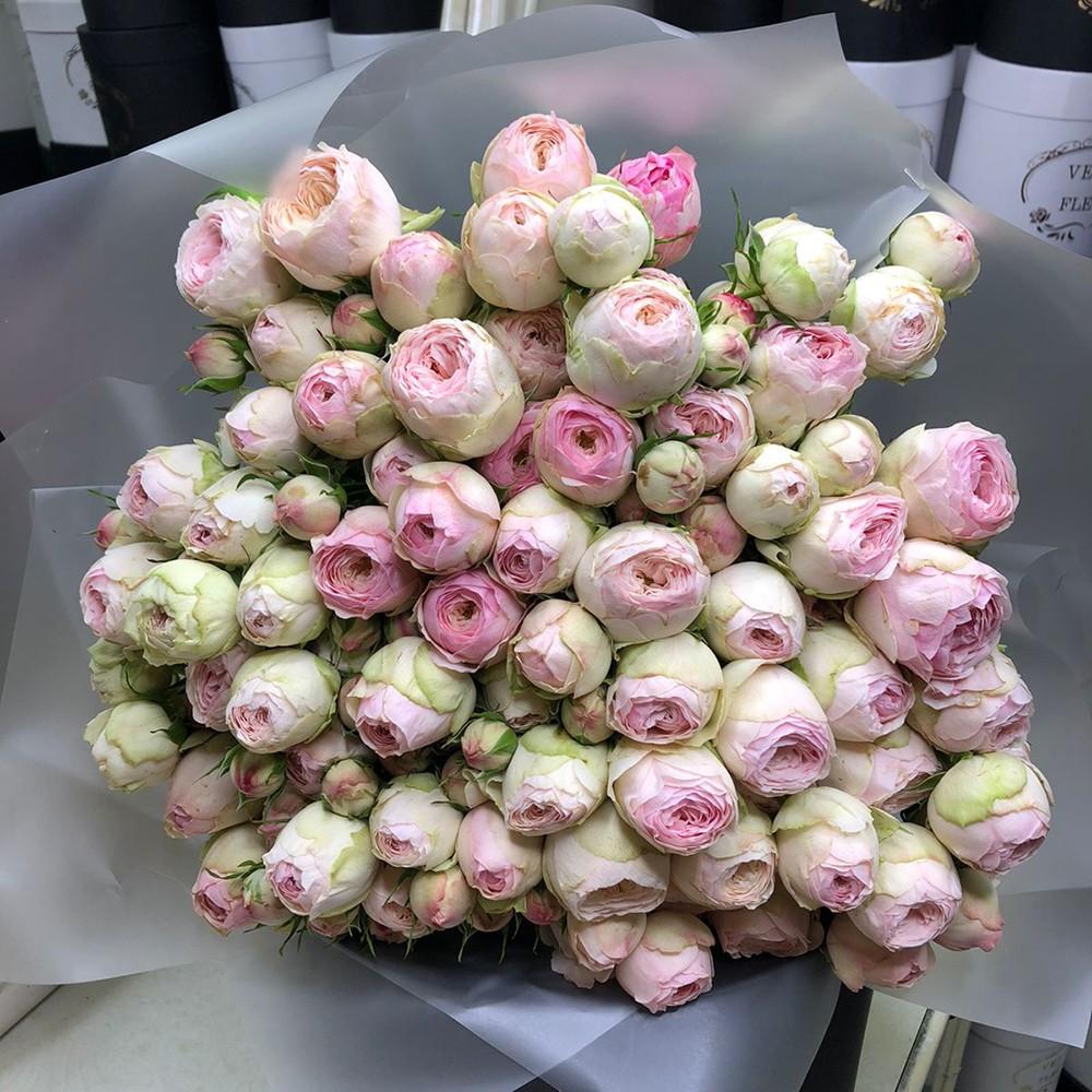 Бело-розовые пионовидные розы от 9 шт.