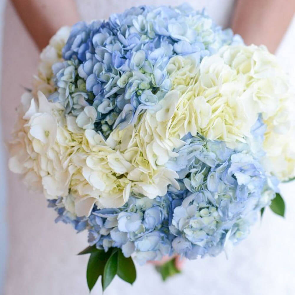 Свадебный букет из гортензий - 5 шт.
