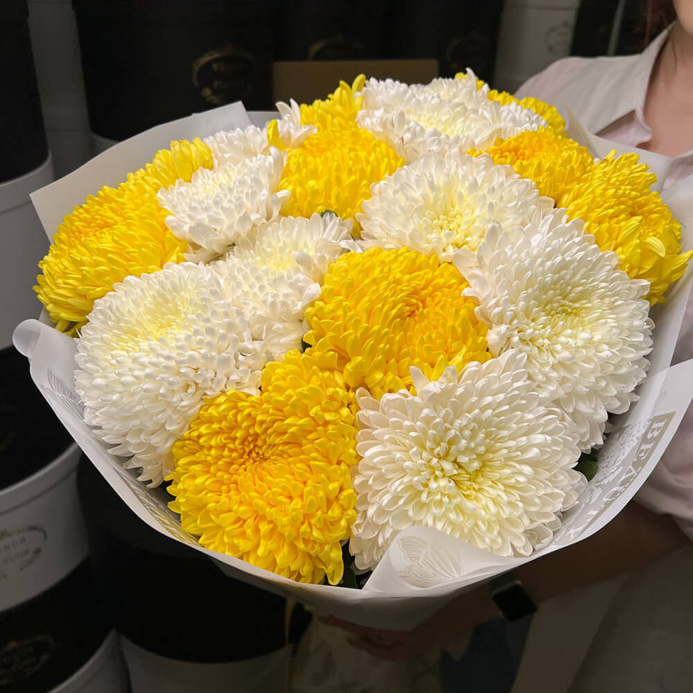 19 бело-желтых крупных хризантем