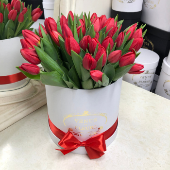 51 красный тюльпан в коробке