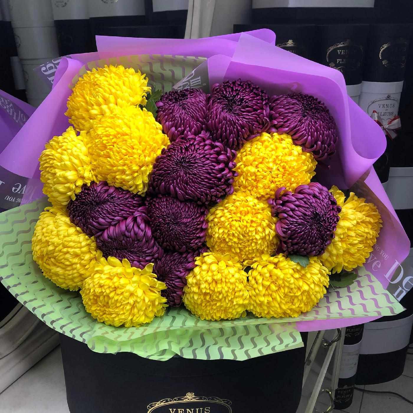 19 желто-фиолетовых крупных хризантем